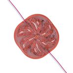 Ayt Powermaster 12 Volt 3 Watt Kırmızı Yanıp Sönen 6565-2835 Modül Led