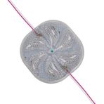 Ayt Powermaster 12 Volt 3 Watt RGB Yanıp Sönen 6565-2835 Modül Led