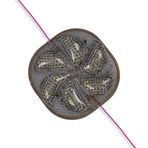 Ayt Powermaster 12 Volt 3 Watt Soğuk Beyaz Yanıp Sönen 6565-2835 Modül Led