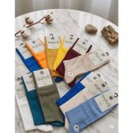 Aytuğ; Cotton Erkek Soket Çorabı; Yazlık; Dikişsiz; Asorti 12'li Kutu; 41-45 - 41 - 45