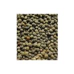 Ayvalık Baharat 100 gr Bamya Tohumu