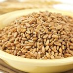 Ayvalık Baharat 2 kg Buğday Tavuk Güvercin Yemi