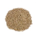 Ayvalık Baharat 500 gr Sade Kanarya Yemi