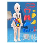 Ayver İnsan Vücudu Anatomisi Organ Bulmaca Puzzle Bultak Yapboz Eğitici Ve Öğretici Oyuncak 20 Cm