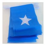 AZ FLAG 21x14 cm Somali Bayrağı