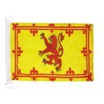 AZ FLAG 30x45 cm İskoçya Bayrağı