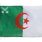 AZ FLAG 45x30 cm Cezayir Tekne Bayrağı