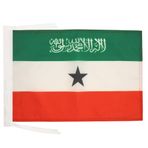 AZ FLAG 45x30 cm Somaliya Cumhuriyeti Bayrağı