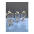 Azade Home Gümüş Pirinç Japongül Çatlak Cam Kavanoz 3’Lü Set