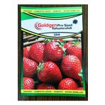 Azaklioglu Home And Garden Goldgen Pro Seed Çilek Tohumu