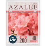 Azalee: Fotobuch - Über 200 HD-Bilder