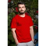 Azıcık Akıllı 20ETSHCAPA Kırmızı Çapa Baskılı Kısa Kollu Bisiklet Yaka Erkek T-shirt