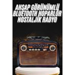 Azrlya Nostaljik Görünümlü Ahşap Radyo Tf Sd USB Girişli LED Fener Işıklı - Lisinya