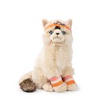 B.T. Chaps Dolly the Ragdoll Kedi Peluş Oyuncak 32 cm - 12,5" 32179001