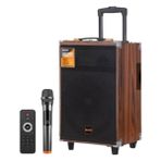 BAAB B-Q12 50 Watt Süper Bass Kumandalı Taşınabilir Kablosuz Mikrofonlu Bluetooth Hoparlör