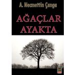 Babıali Kitaplığı Ağaçlar Ayakta
