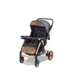 Baby Care BC 500 Combo Maxi Pro Gold Siyah Çift Yönlü Bebek Arabası
