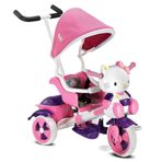 Babyhope 135 Kety Panda 3 Teker Kız Çocuk Bisikleti