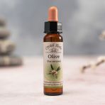 Bach Çiçekleri Olive Zeytin - 10 ml