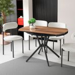 Bade Alfa Mutfak Masası Takımı 4 Sandalyeli, 73X120 Cm