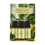 Bade Natural 10 ml Limon Uçucu Yağı