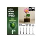 Bade Shop Lotus Çiçeği (Nilüfer) Su Altı Torf Karışımı Toprağı (1 LT Toprak) - 1 adet lotus tohumu hediyeli