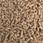 Badem Akvaryum 1 kg Çam Pelet Doğal Kedi Kumu