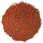 Badem Akvaryum Ciklet Mix 250 gr Karışık Balık Yemi