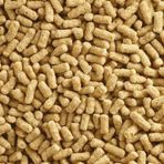 Badem Akvaryum Japon Balığı Yemi Sade 100 G