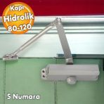 Badem Çelik Kapı Hidroliği Kapı Durdurucu Yavaşlatıcı Yayı No: 5 Kapasite 80-120 Kilogram Gümüş Renk