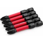 Badem10 Impact Bits Uç 50 mm Pz2 Tayvan Çeliği Mıknatıslı Pozidriv Manyetik 1/4" Matkap Ucu 5 cm Uzunluk - Gümüş
