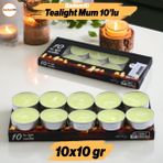 Badem10 Tealight Mum 10X10 gr Dekoratif Mumu Kandil Hediyelik Fitilli Mumluk Şamdan Krem Renk Kokusuz - Su Yeşili - 1 Adet