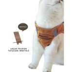 Baffhome Kedi Göğüs Tasması Kedi Gezdirme Tasması Kediler Için Özel Üretim Yeni Nesil (Tasma Dahil) - Taba - 2 Small