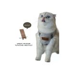 baffhome Kedi Göğüs Tasması Kedi Gezdirme Tasması Kediler Için Özel Üretim Yeni Nesil (TASMA DAHİL)