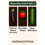 Bağ bahçe Fidan 3 Farklı Sebze Tohumu (Toplam 15 gr) Yaklaşık 2.925 Adet Yeşillik Tohumu Bağbahçefidan Kalitesiyle