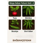 Bağ bahçe Fidan 4 Farklı Sebze Tohumu (Toplam 20 gr) Yaklaşık 1.430 Adet Yeşillik Tohumu Bağbahçefidan Kalitesiyle