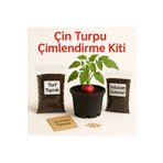 Bağ bahçe Fidan Çin turpu Çimlendirme Başlangıç Kiti – Saksılı, Topraklı, Gübreli, Organik Tohumlu Set