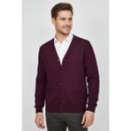 Baglan Erkek Spor Selanik Düğmeli Hırka Regular Kalıp BGL-ST04873 - Mürdüm - 2XL
