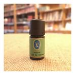 Baharat Karanfil Meyvesi Yağı Organik 5 Ml