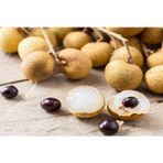 Bahçe Life Longan Ejder Gözü Meyvesi Ağaci Tohumu + ÇiMlendiRme Seti