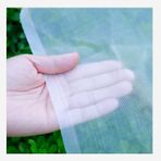 Bahçe Sera Bitkileri için İnce Örgü ct Koruma Ağı Meyve ve Çiçekler Beyaz (0,7 mm Mesh 2m x 20 m Boyut)