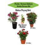Bahçe Seti 2 Adet Limoni Servi Fidanı+ 1 Adet Kırmızı Gül Fidanı+Hediye Buz Çiçeği, BTSNN23032439