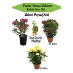 Bahçe Seti 2 Adet Limoni Servi Fidanı+ 1 Adet Sarı Gül Fidanı+Hediye Buz Çiçeği, SRD04022025BYB1392