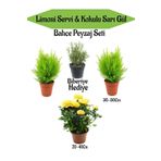 Bahçe Seti 2 Adet Limoni Servi Fidanı+1 Adet Sarı Gül Fidanı+Hediye Biberiye, BTSNN23032444