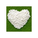 BAHÇE UZMANI Beyaz Dolomit Taş 1 Kg 1-2 Cm Peyzaj Saksı Taşı Akvaryum Teraryum Taşı Bahçe Taşı Bambu Taşı