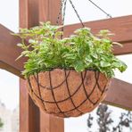 Bahçem Coco Askılı Çiçeklik Doğal Hindistan Cevizi Lifi Dekoratif 1 Adet Balkon Bahçe Saksısı 32X31X75CM
