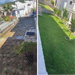 Bahçem Elit Zoysia japonica Çim Fidesi 10.5 M2 Için 168 Adet 84'lük viol