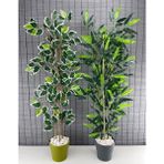 Bahçem Yapay Benjamin Ağacı 110 cm ve Yapay Bambu Ağacı 110 cm 2'li Set