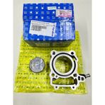 Bajaj Pulsar Ns-Rs 200 Silindir+Piston+Sekman Seti. Kural...