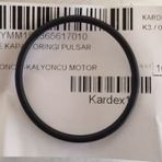 Bajaj Pulsar RS 200 Yağ Filtre Kapak Oringi